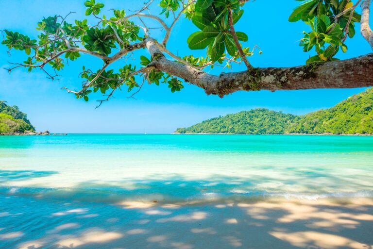 Jakie są najlepsze biura podróży na podróż poślubną? 1 Photo Tropical beach