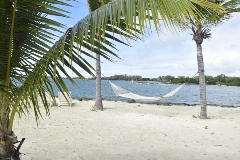 Jak znaleźć najlepsze oferty wakacyjne online? 1 Photo beach vacation