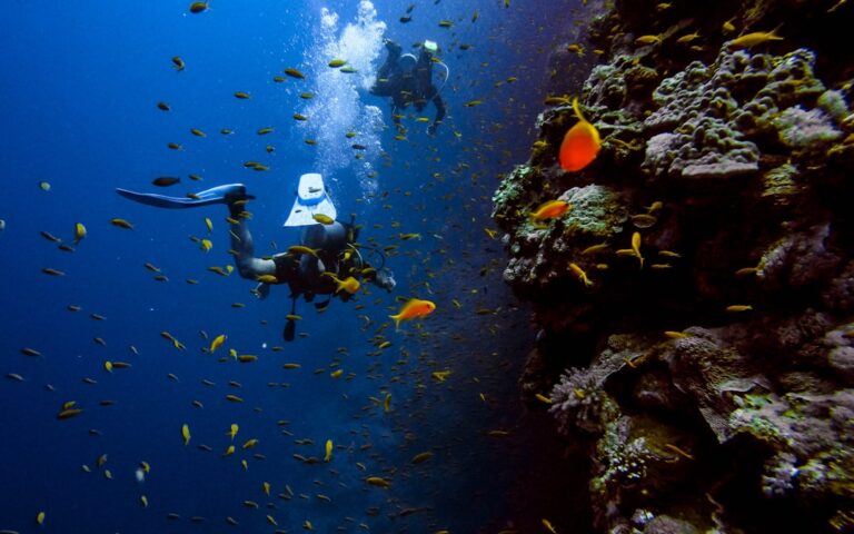 Photo Scuba diving