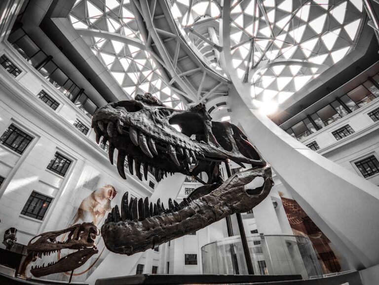 Photo Museum exhibit