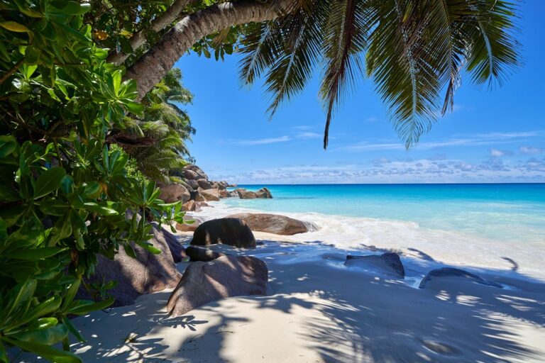 Photo Tropical beach