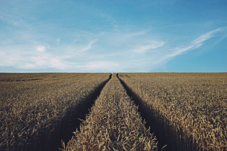 Photo Rural landscape