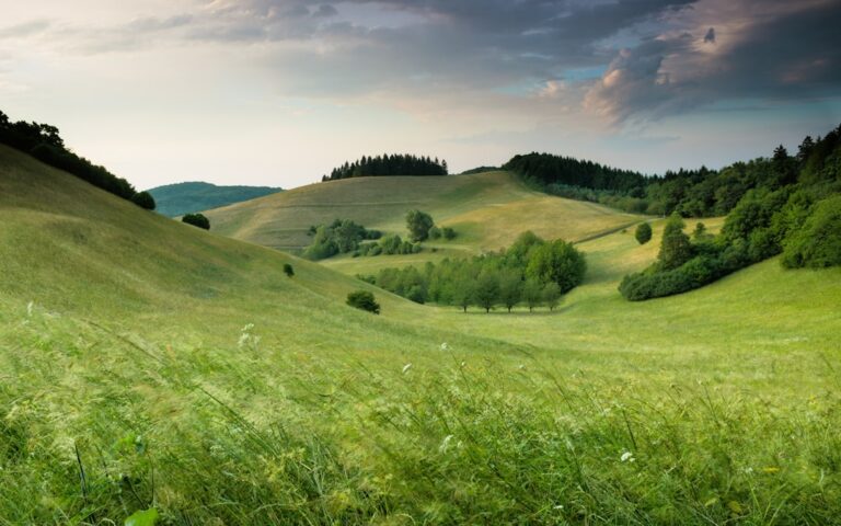Wakacje w Polsce: Najlepsze miejsca na camping 1 Photo 1 Camping site 2 Nature landscape