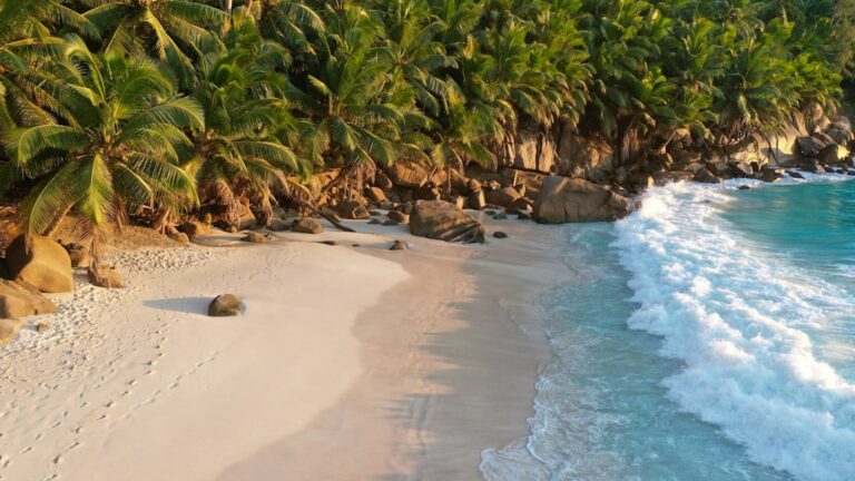 Egzotyczne destynacje na podróż dla par 1 Photo Tropical beach