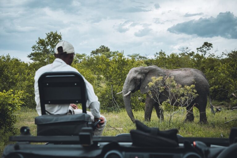 Podróże do Afryki: Odkrywaj niezwykłe krajobrazy i kulturę 1 Photo Safari jeep