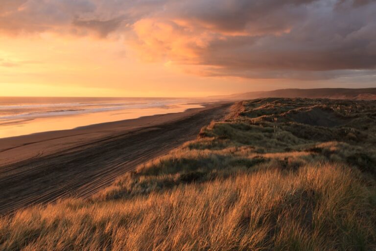 Photo Solo traveler at sunset