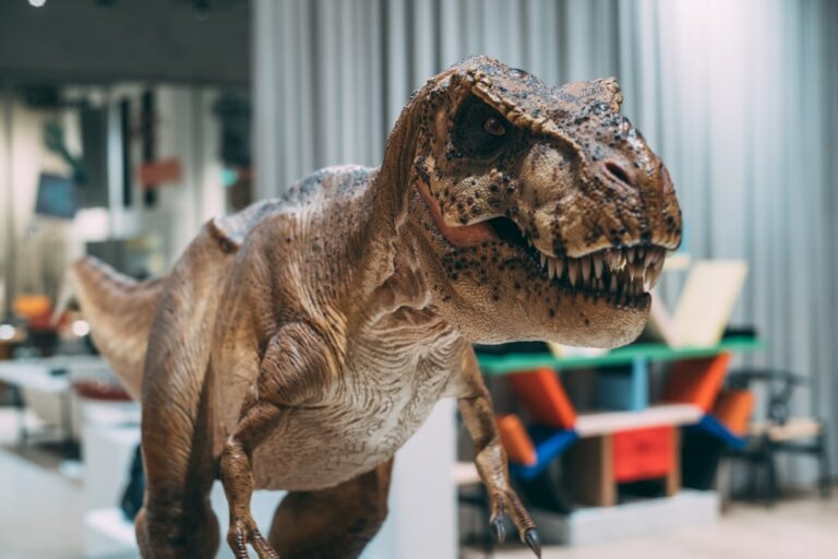 Rodzinne wycieczki do muzeów przyrodniczych: nauka i zabawa 1 Photo Dinosaur exhibit