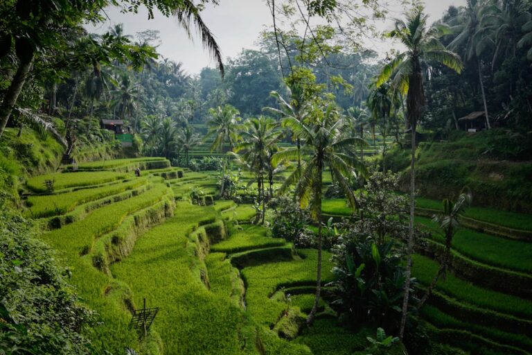 Najlepsze miejsca na wakacje solo w Azji: Przewodnik 1 Photo Solo traveler in Bali