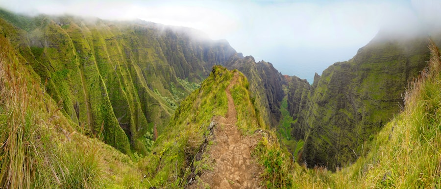 Photo Hawaiian hiking trails