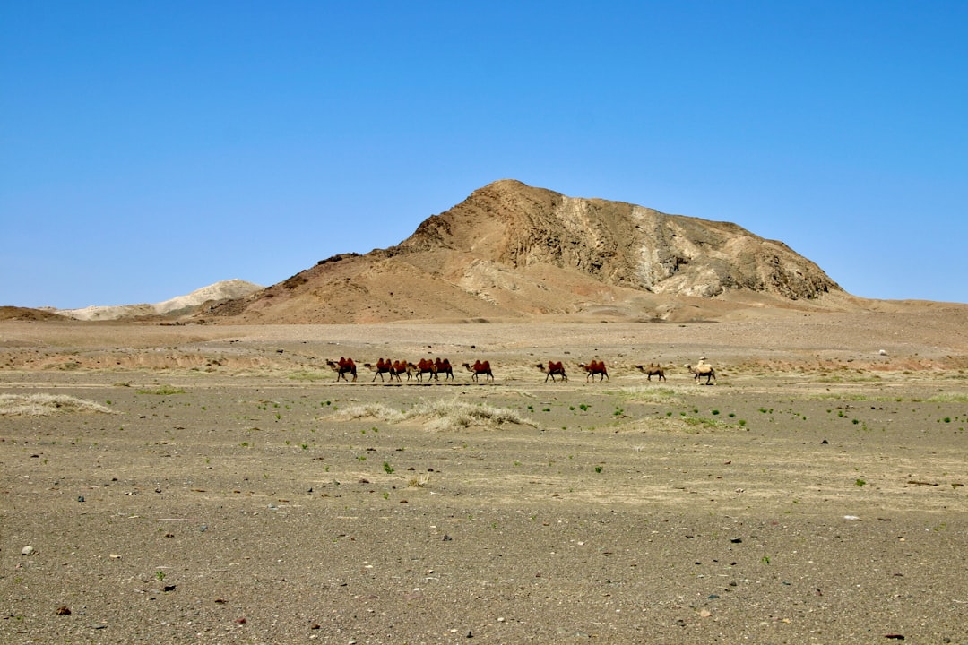 Photo Gobi Desert Discovery