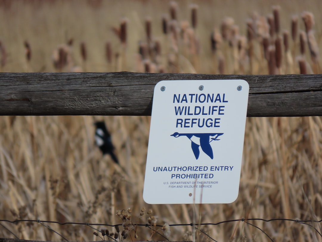 Photo wildlife reserves